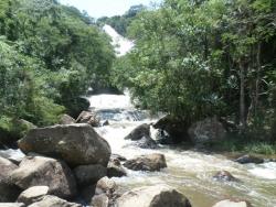 Sítio para Venda em Joanópolis - 5