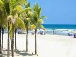 Apartamento para Venda em Praia Grande - 5