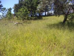 #982 - Terreno para Venda em Atibaia - SP - 1
