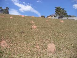 Terreno para Venda em Atibaia - 5