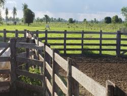 #1162 - Fazenda para Venda em Porto Murtinho - MS - 1