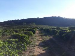 Venda em penha - Bragança Paulista