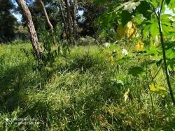 #1486 - Terreno para Venda em Atibaia - SP