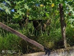 #1486 - Terreno para Venda em Atibaia - SP