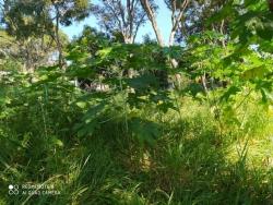Terreno para Venda em Atibaia - 5