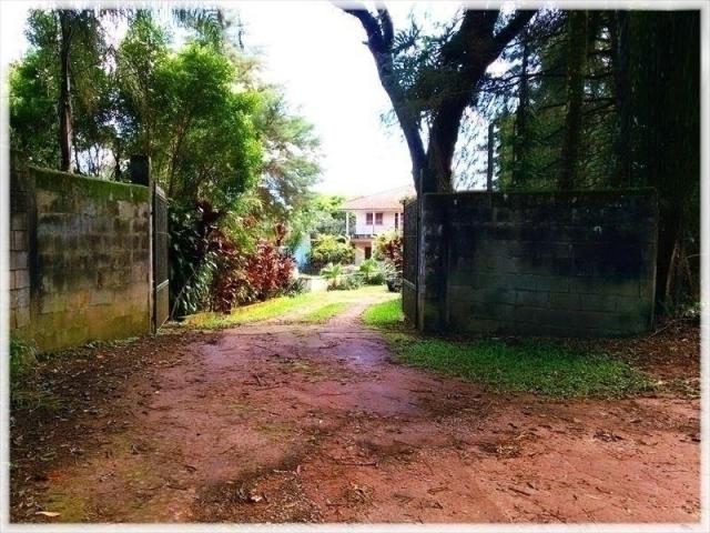 #1529 - Sítio para Venda em Bom Jesus dos Perdões - SP