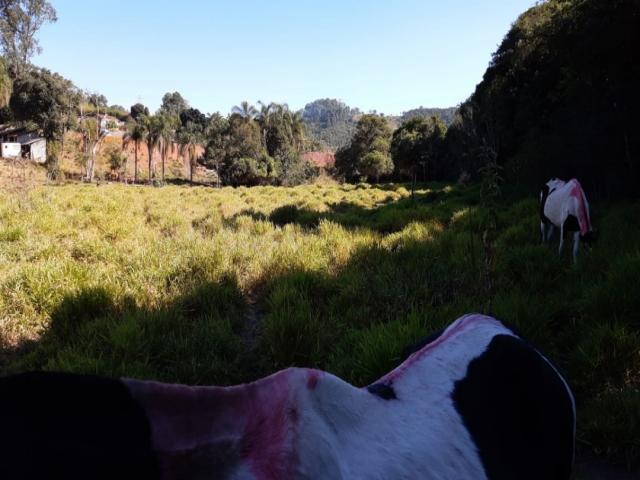 #1531 - Terreno para Venda em Atibaia - SP