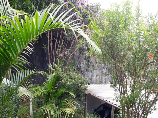 Casa para Venda em Atibaia - 5