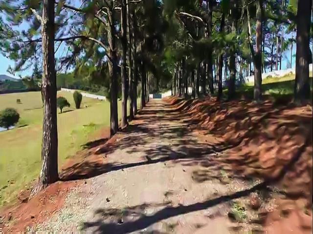 Sítio para Venda em Atibaia - 5