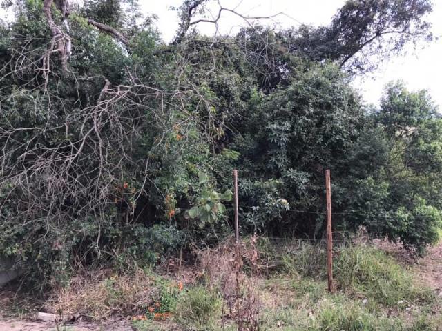 Terreno para Venda em Nazaré Paulista - 5