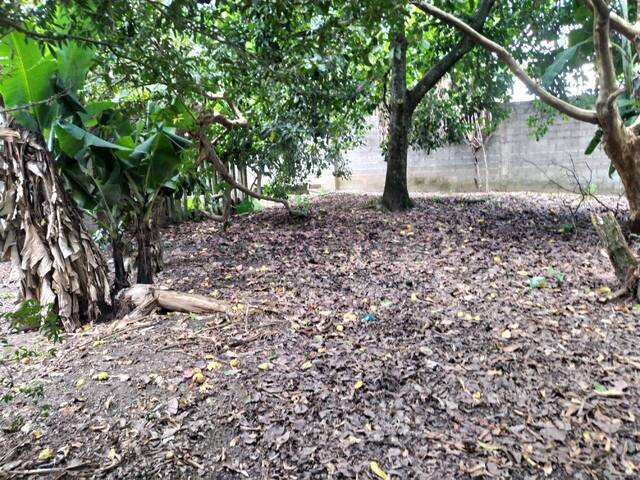 Terreno para Venda em Atibaia - 4