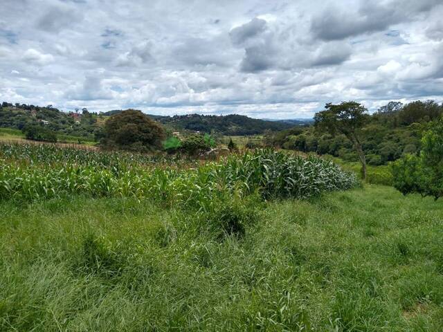 #1894 - Área para Venda em Atibaia - SP