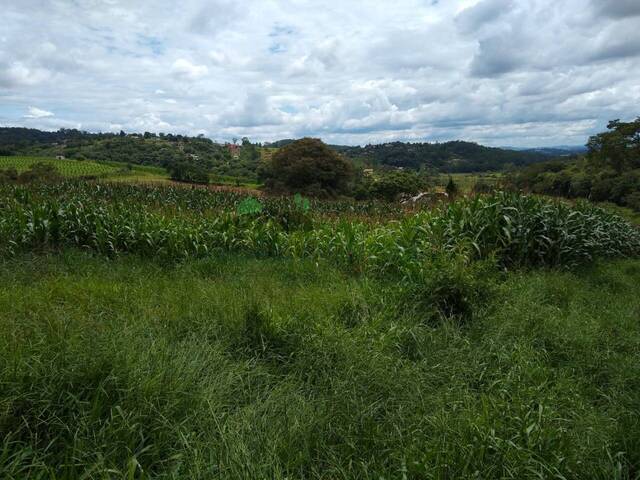 #1894 - Área para Venda em Atibaia - SP