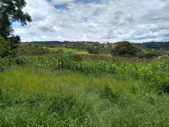 #1894 - Área para Venda em Atibaia - SP