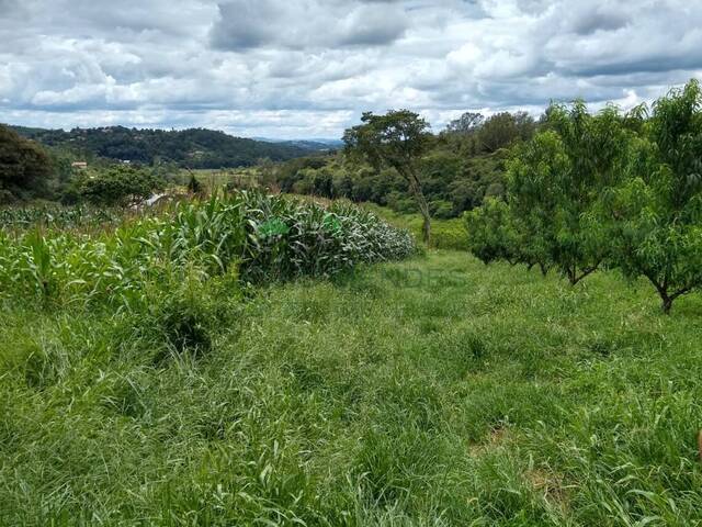 Área para Venda em Atibaia - 4