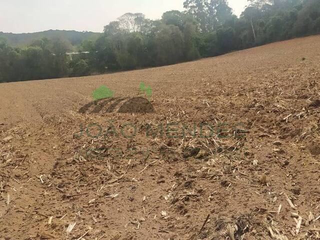 #2122 - Sítio para Venda em Jarinu - SP - 2