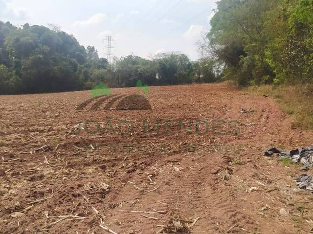 Sítio para Venda em Jarinu - 4