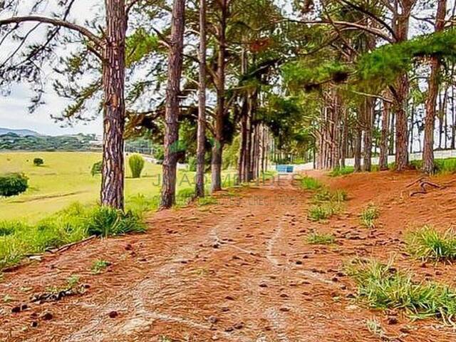 Terreno para Venda em Atibaia - 4