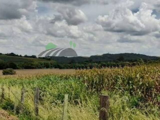 #2425 - Área para Venda em Atibaia - SP