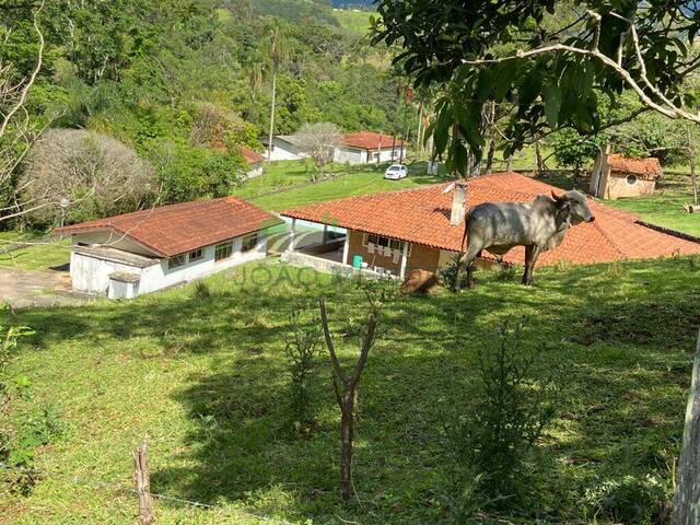 Chácara para Venda em Piracaia - 4
