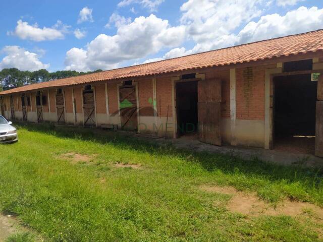 #2705 - Haras para Locação em Atibaia - SP
