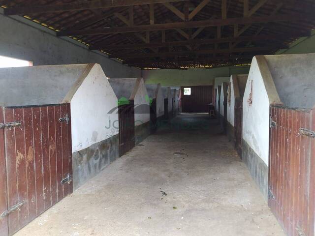 #2705 - Haras para Locação em Atibaia - SP