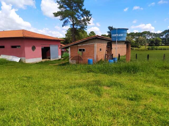 Haras para Locação em Atibaia - 5