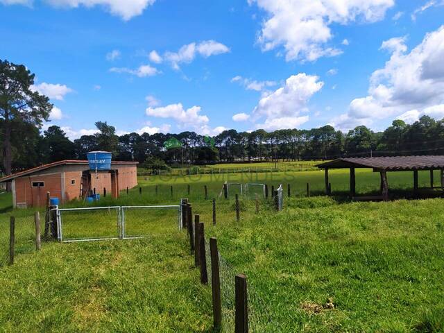 #2705 - Haras para Locação em Atibaia - SP