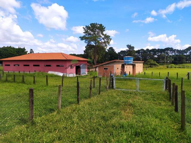 Haras para Locação em Atibaia - 4