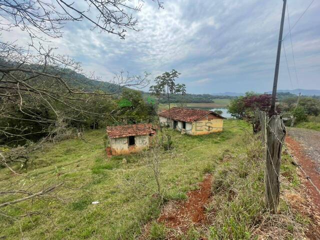 Sítio para Venda em Vargem - 4