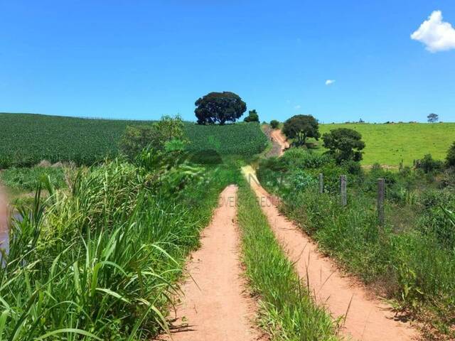 #2754 - Fazenda para Venda em Itatiba - SP - 1