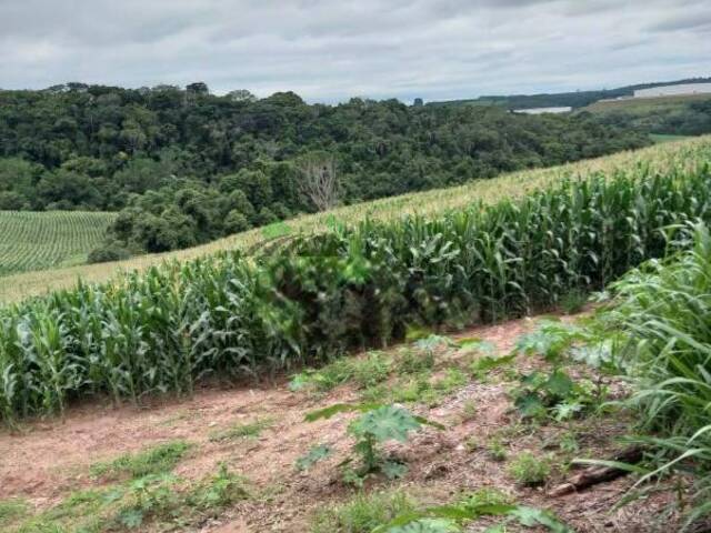 #2754 - Fazenda para Venda em Itatiba - SP - 3