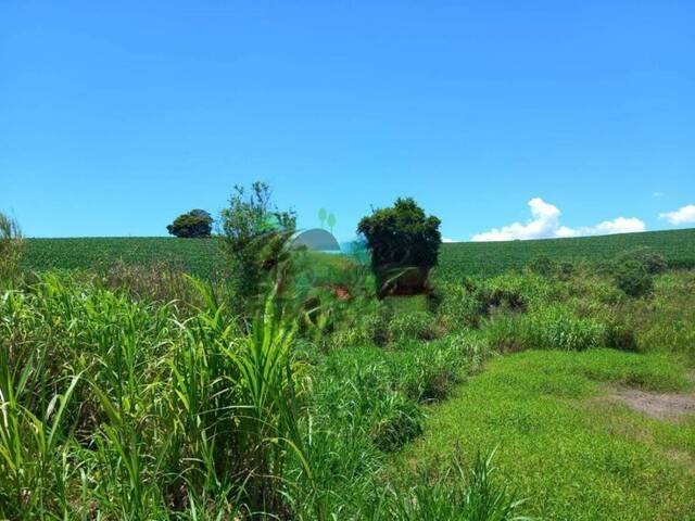 Fazenda para Venda em Itatiba - 5