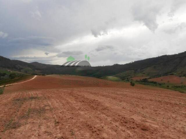 #2755 - Fazenda para Venda em Serra Negra - SP - 2