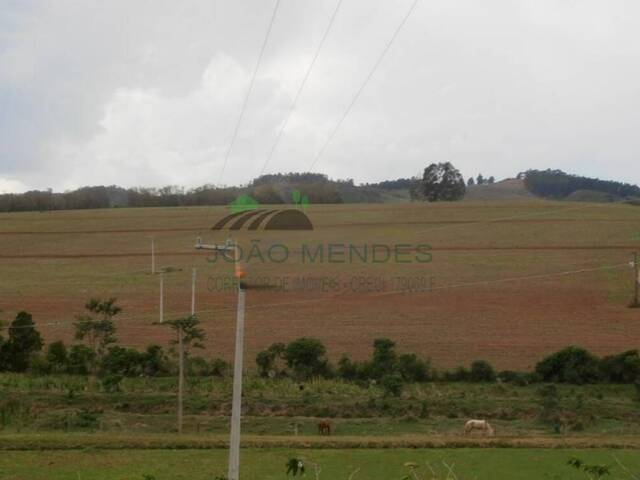Fazenda para Venda em Serra Negra - 4