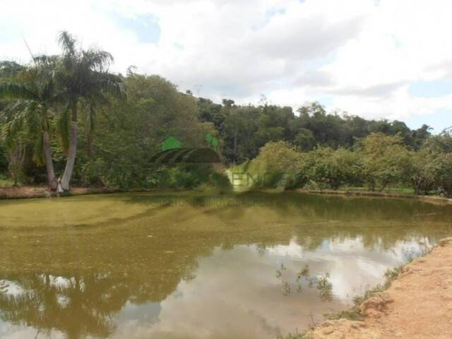 Fazenda para Venda em Serra Negra - 5