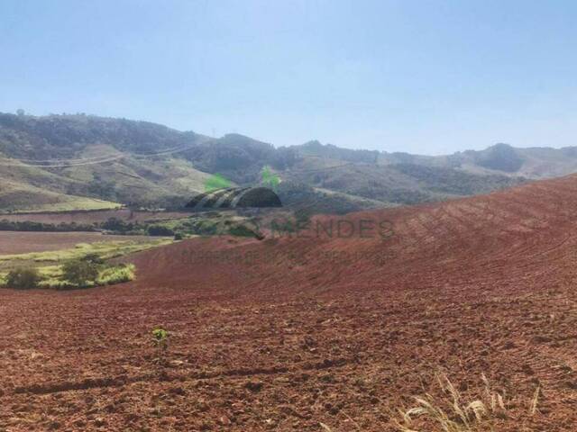 #2755 - Fazenda para Venda em Serra Negra - SP - 3