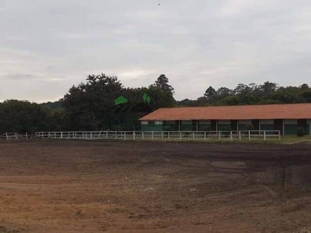 Haras para Venda em Atibaia - 4