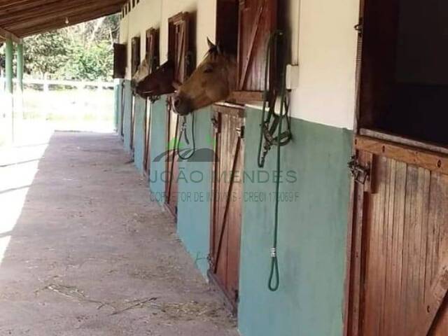 Haras para Venda em Atibaia - 5