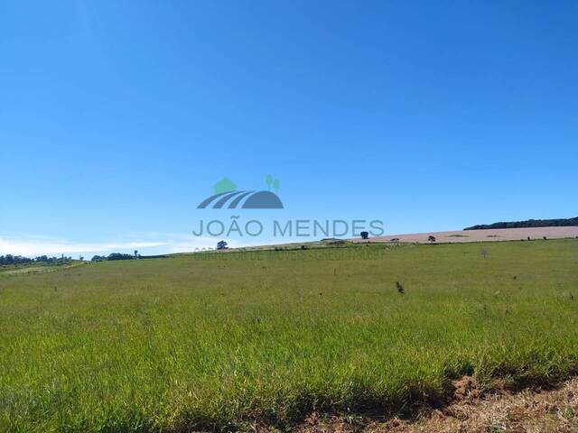 Área para Venda em Atibaia - 5