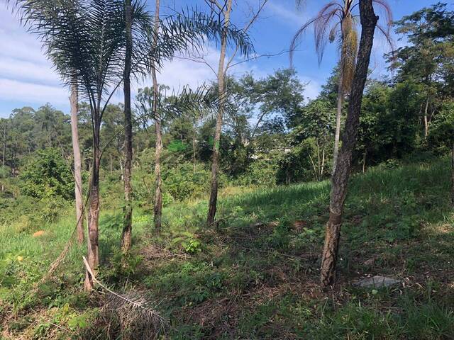 #2785 - Terreno em condomínio para Venda em Bom Jesus dos Perdões - SP - 3