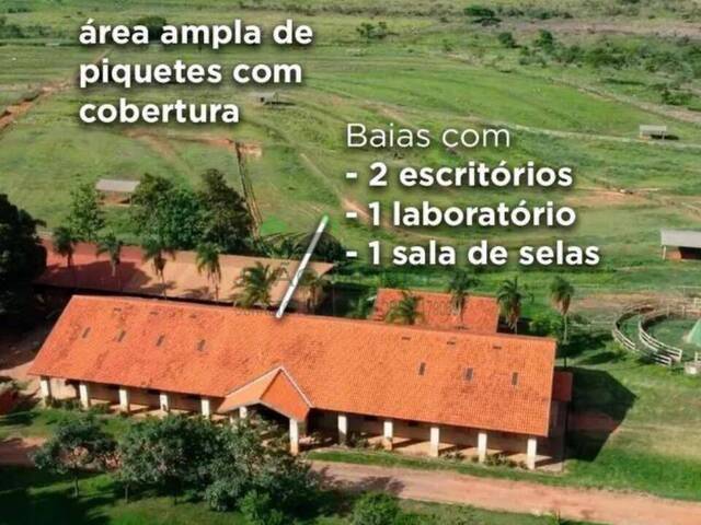 Haras para Venda em Birigui - 4