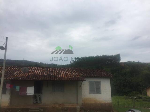 Chácara para Venda em Serra Negra - 4