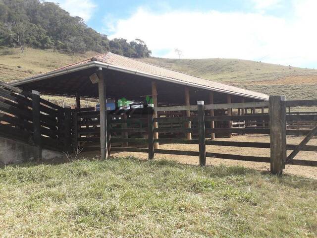 #2818 - Fazenda para Venda em Juiz de Fora - MG - 3