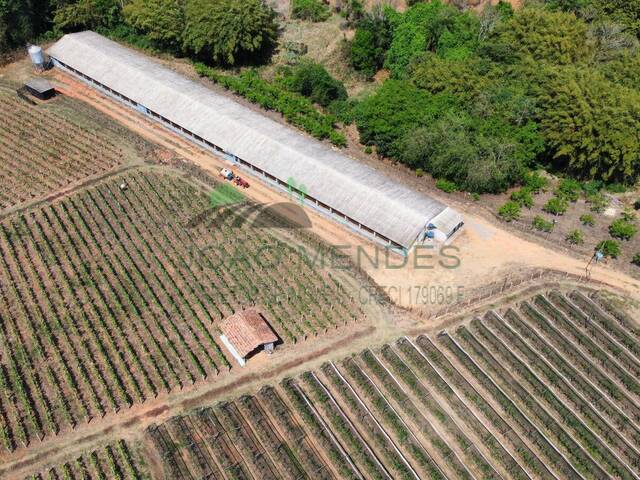 Sítio para Venda em Itatiba - 4