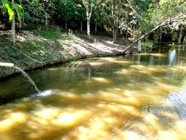 #2863 - Chácara para Venda em Bragança Paulista - SP - 1