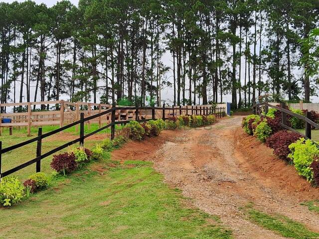 #2801 - Haras para Venda em Atibaia - SP - 2