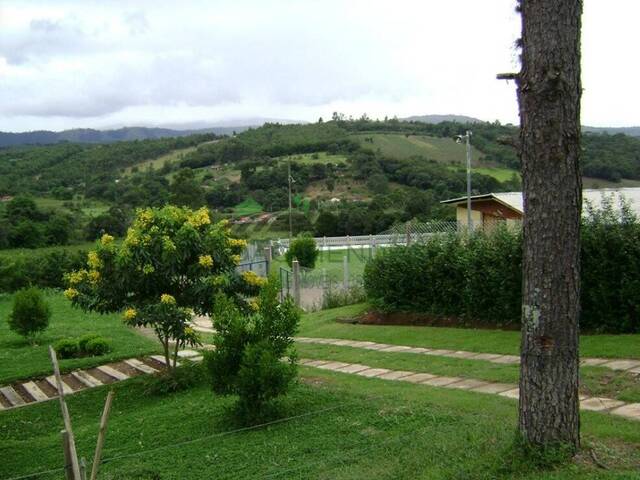 #2919 - Sítio para Venda em Bragança Paulista - SP - 1