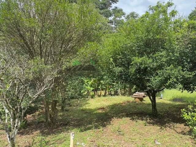 #2952 - Chácara para Venda em Atibaia - SP - 2