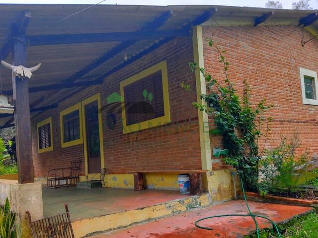 #2958 - Sítio para Venda em Bom Jesus dos Perdões - SP - 3